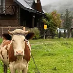 заворіття
