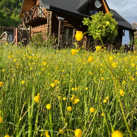 Feriehus заворіття *