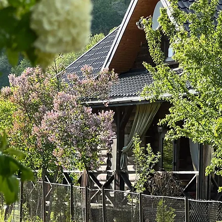 заворіття * Sheshory