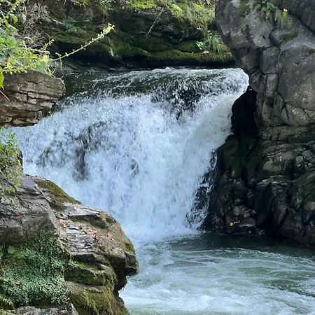 заворіття Nyaraló Sesori