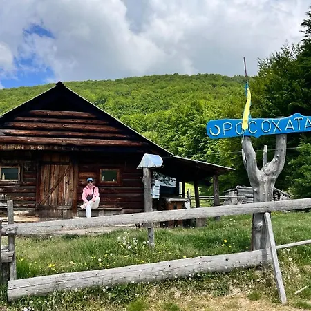 заворіття Feriehus *