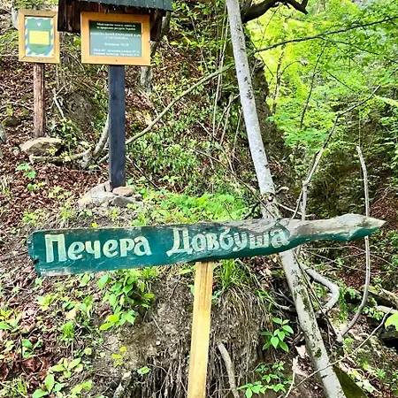 заворіття * Sheshory